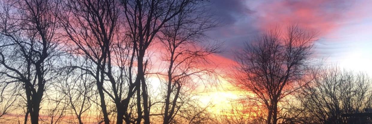mmarsh95's profile banner image