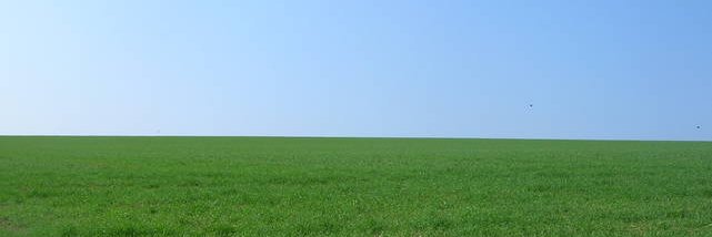 Santiago León Gómez banner