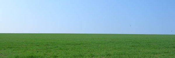 sleongomez Profile Banner