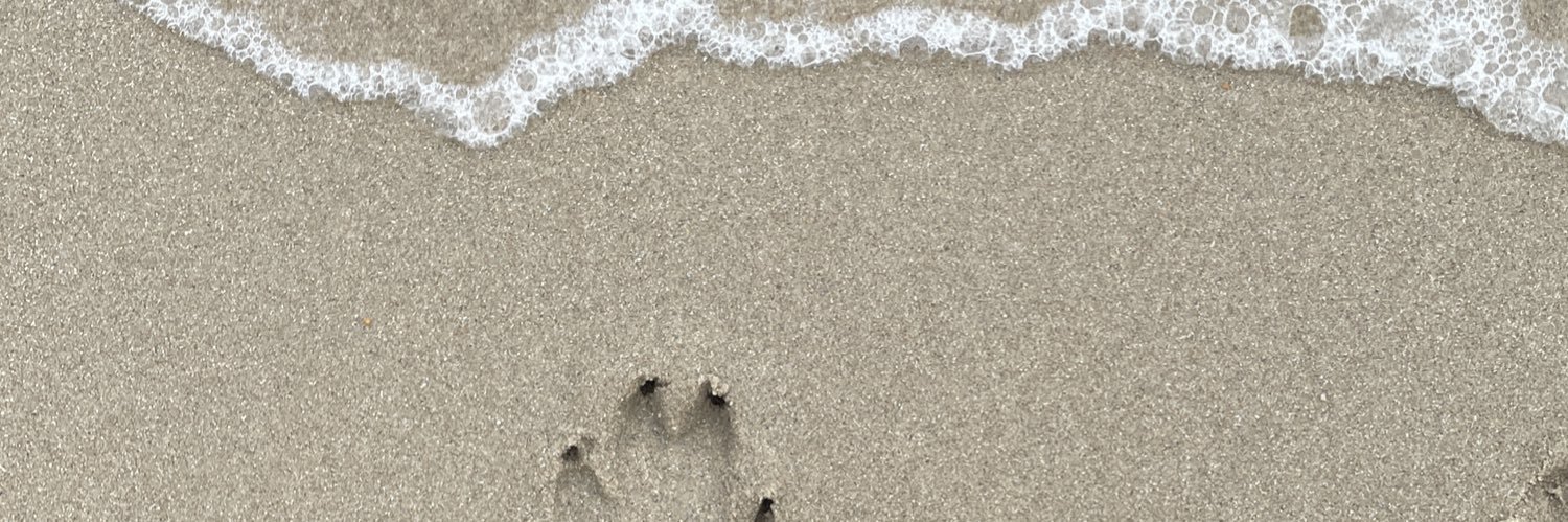 I banner