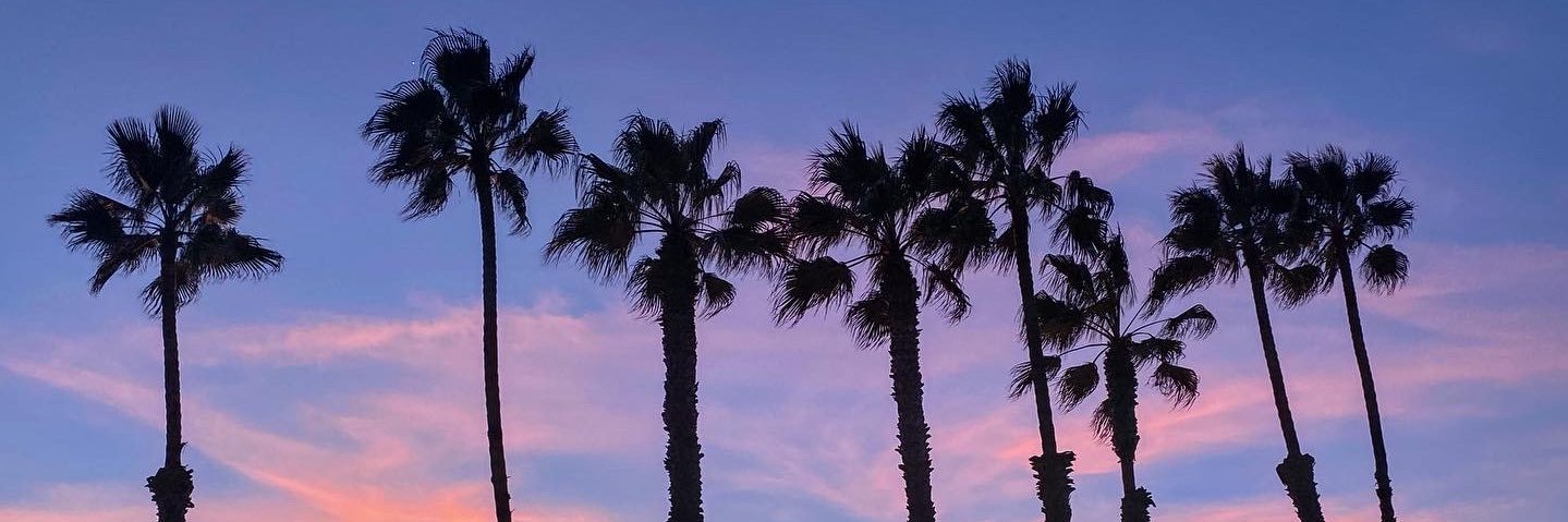 Dr. Stephanie Trudeau banner