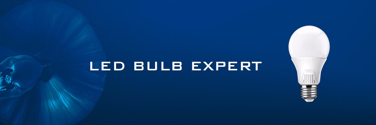 Wellmax Lighting banner