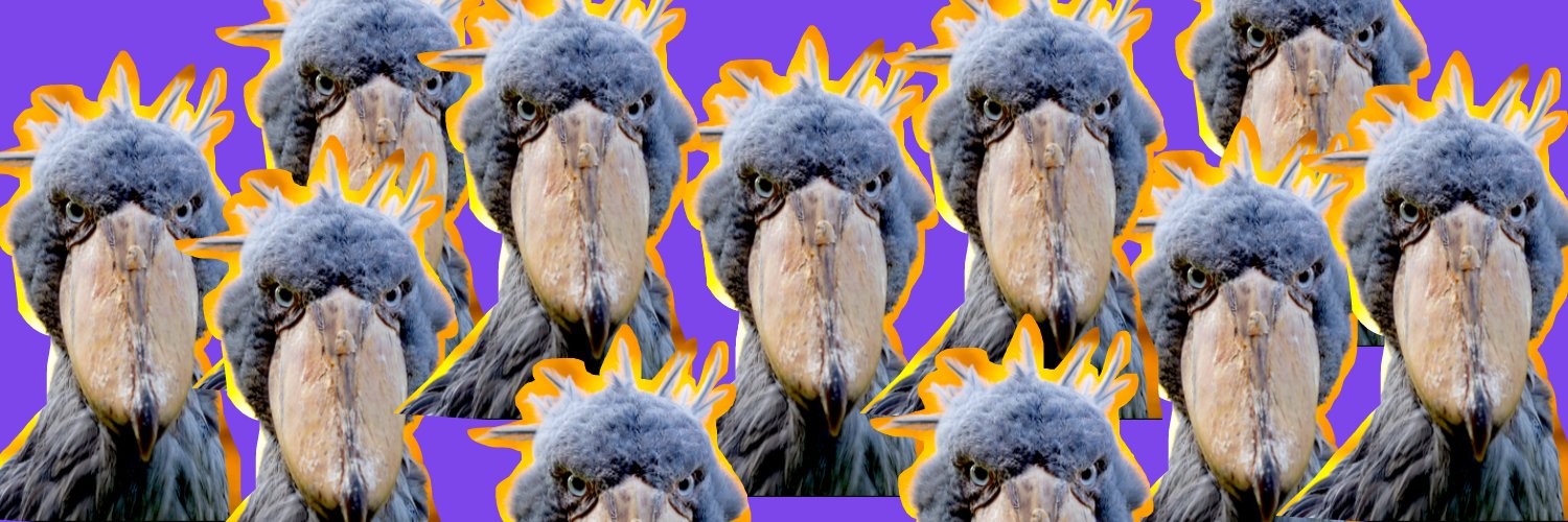 laurabecmx's profile banner image
