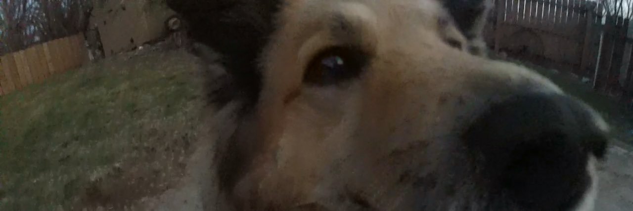RJaixen's profile banner image