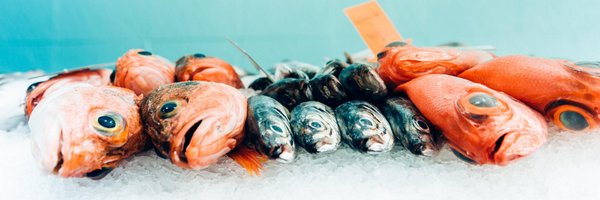 subtis Profile Banner