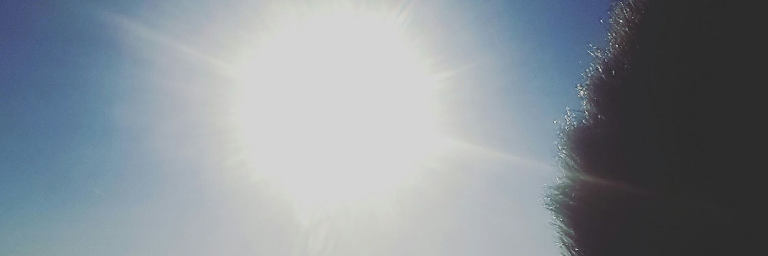 Becca_Eugene's profile banner image