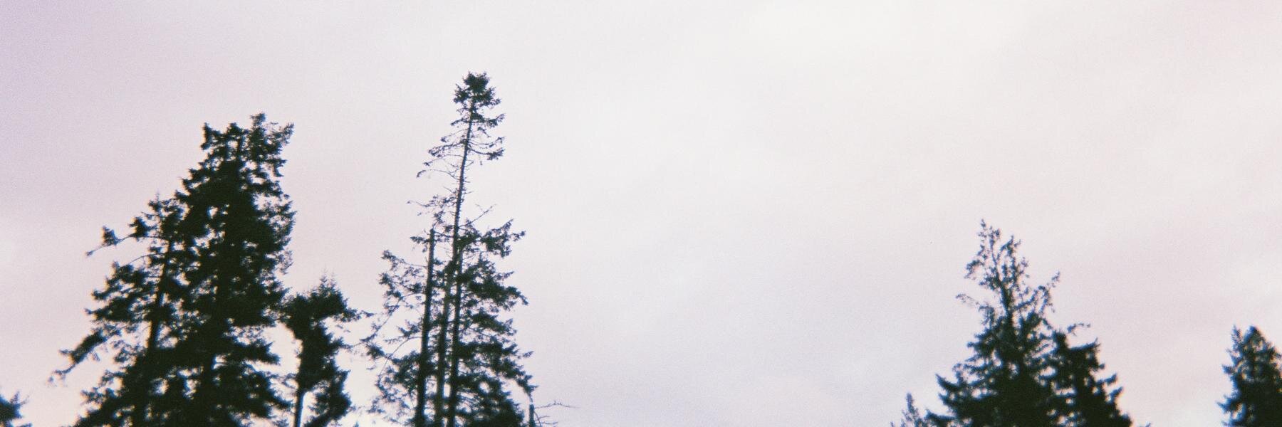 mereforce1's profile banner image