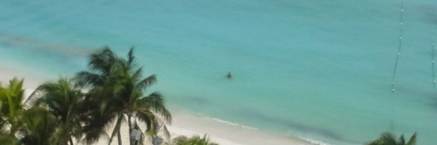 vancau's profile banner image