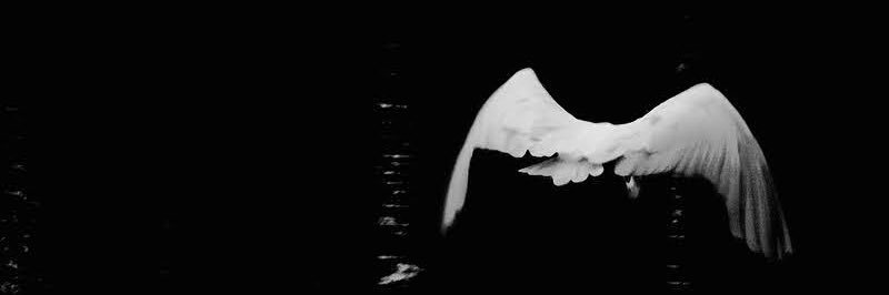carisius's profile banner image