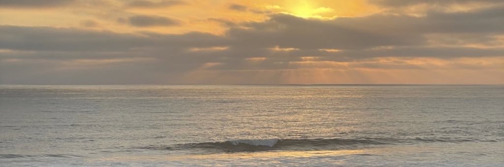 S. banner
