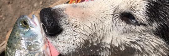 AubbyMichelly's profile banner image