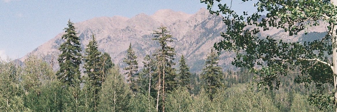 emmehensley's profile banner image