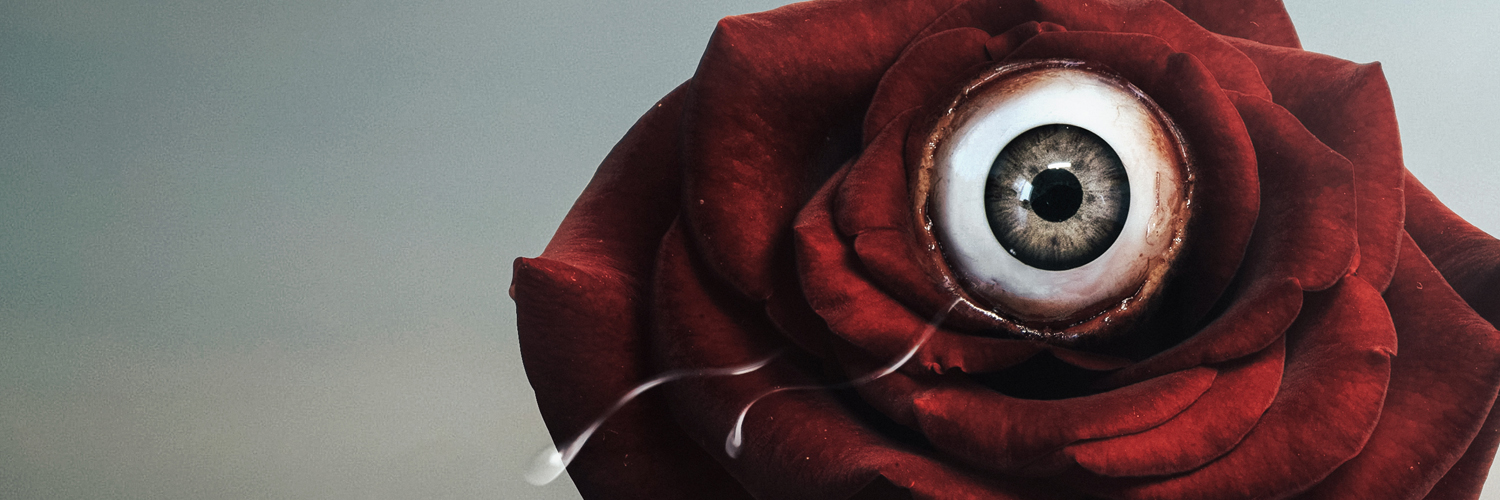 michelomarb's profile banner image