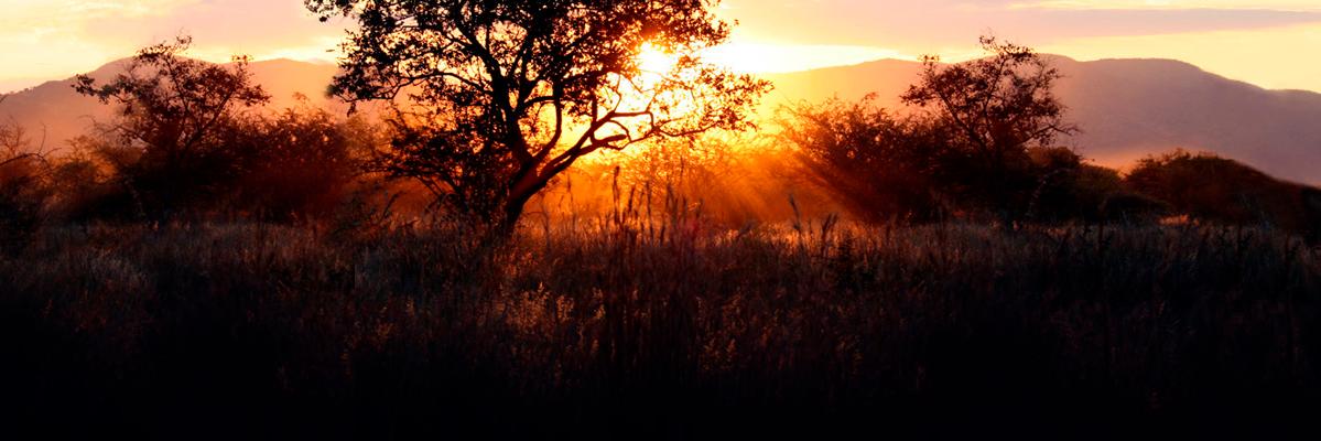 AbDjon's profile banner image