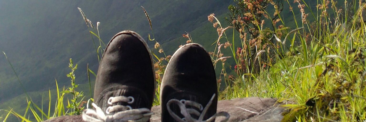 amalyya_'s profile banner image