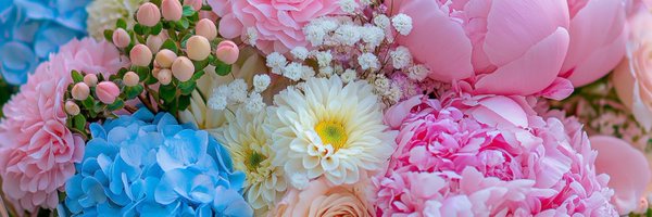 ThatLibRN Profile Banner