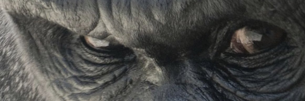 jvolpi's profile banner image