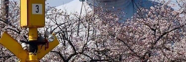 yanar0w's profile banner image