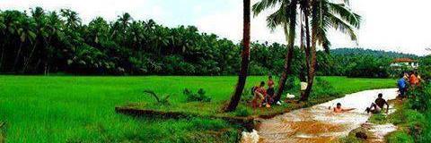 Sathiah2's profile banner image