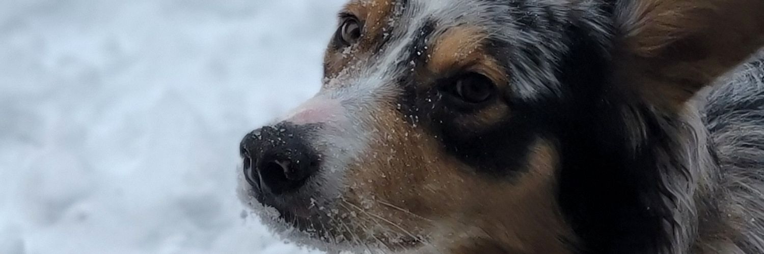 DxKY's profile banner image