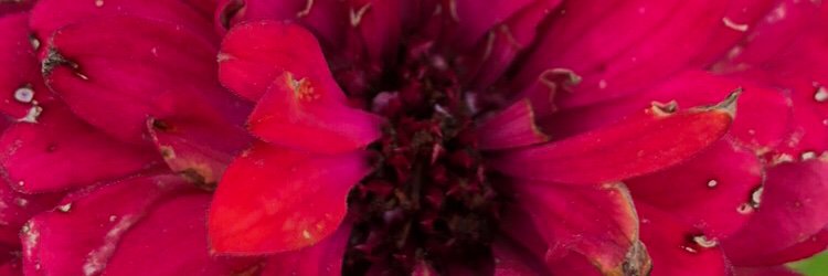Dandk1's profile banner image