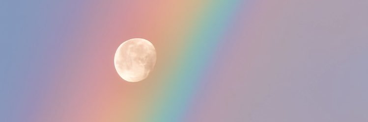 Michelle Shadbolt banner