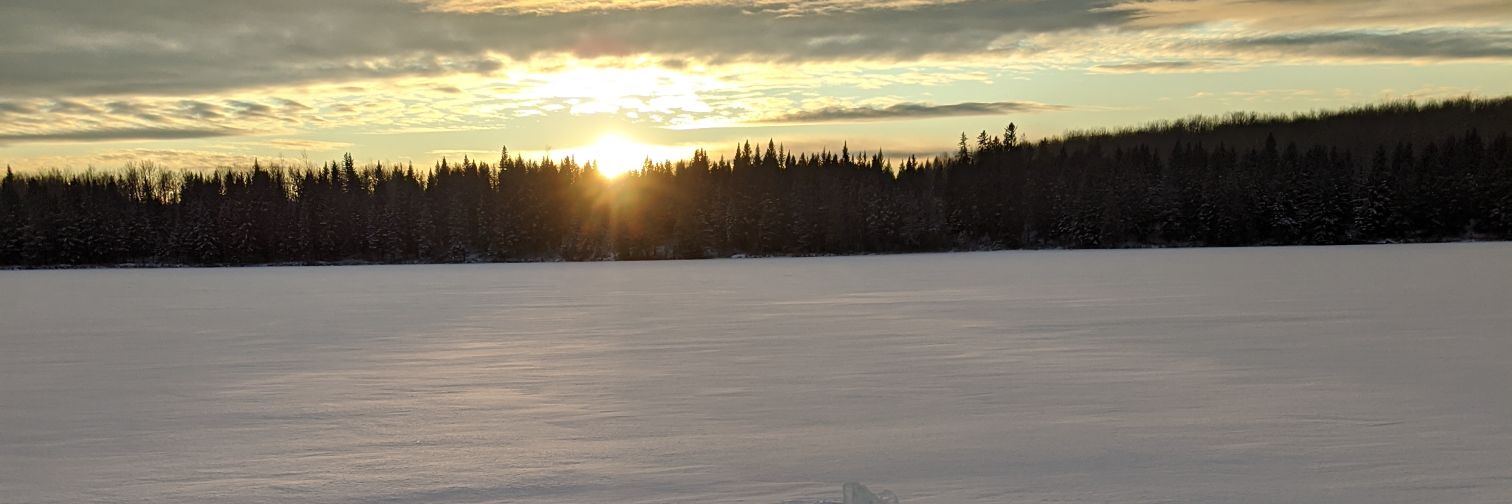 B_Mirasty's profile banner image