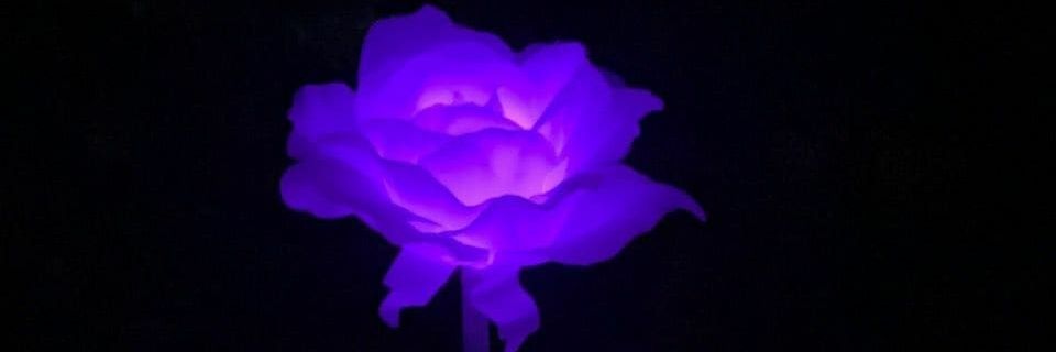 mehakksharma's profile banner image