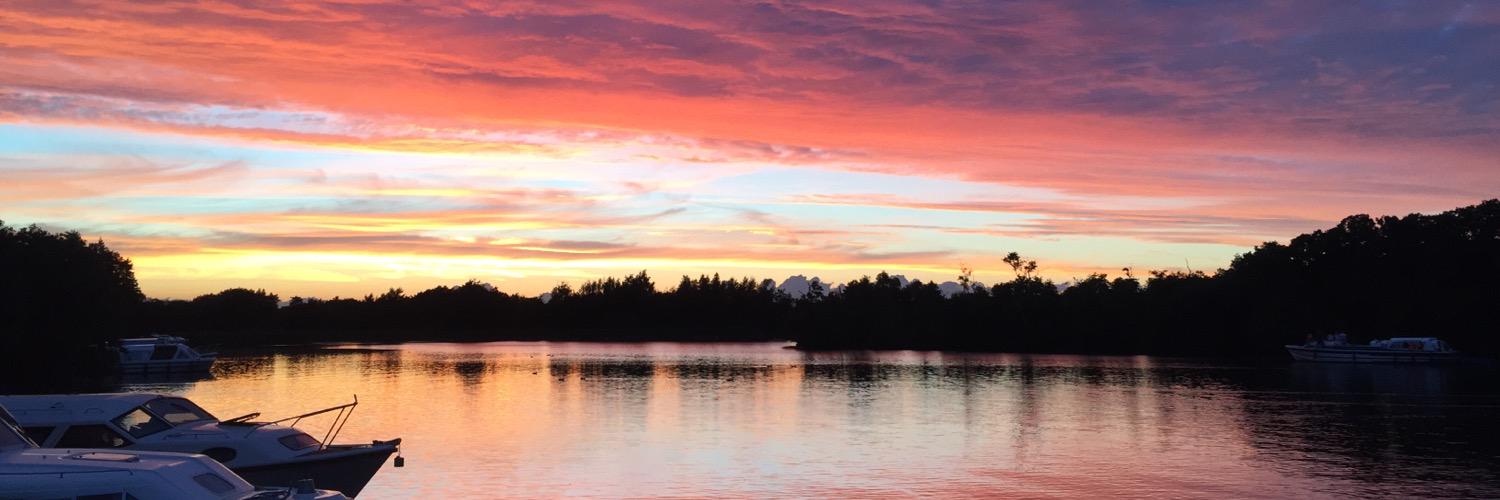 Buster Tolfree banner