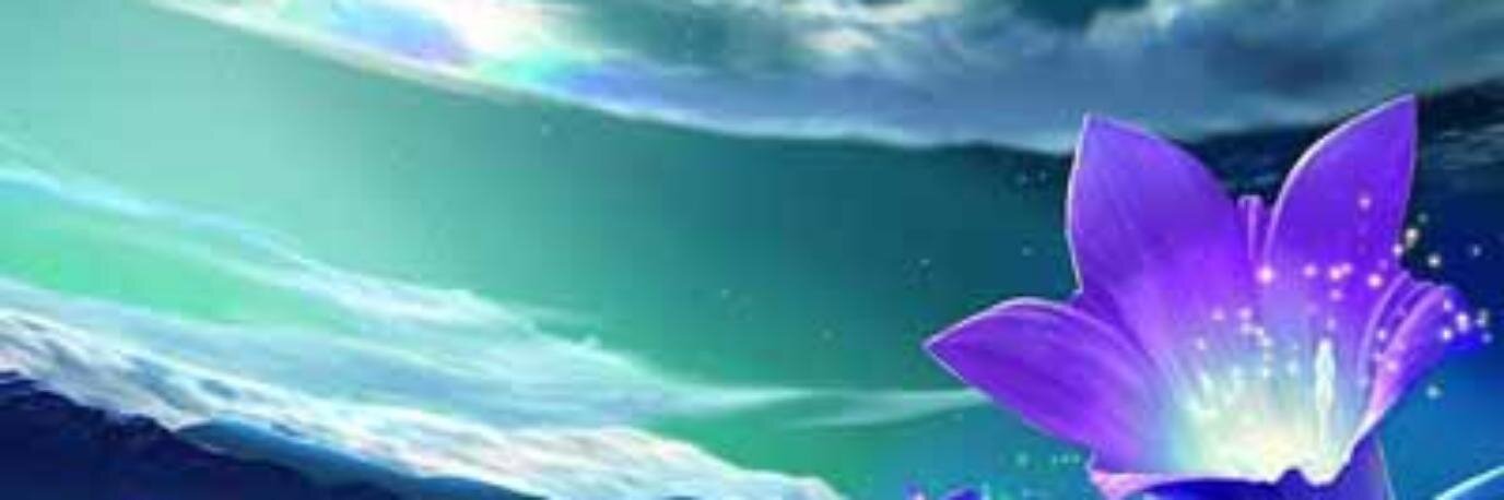 aradia8377's profile banner image