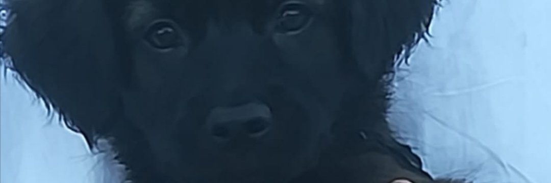 MarcoSabinoHPC's profile banner image
