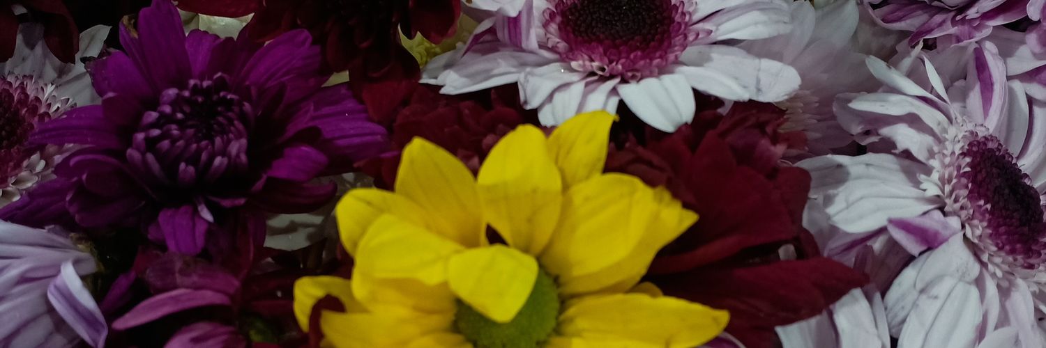 angielavvv's profile banner image