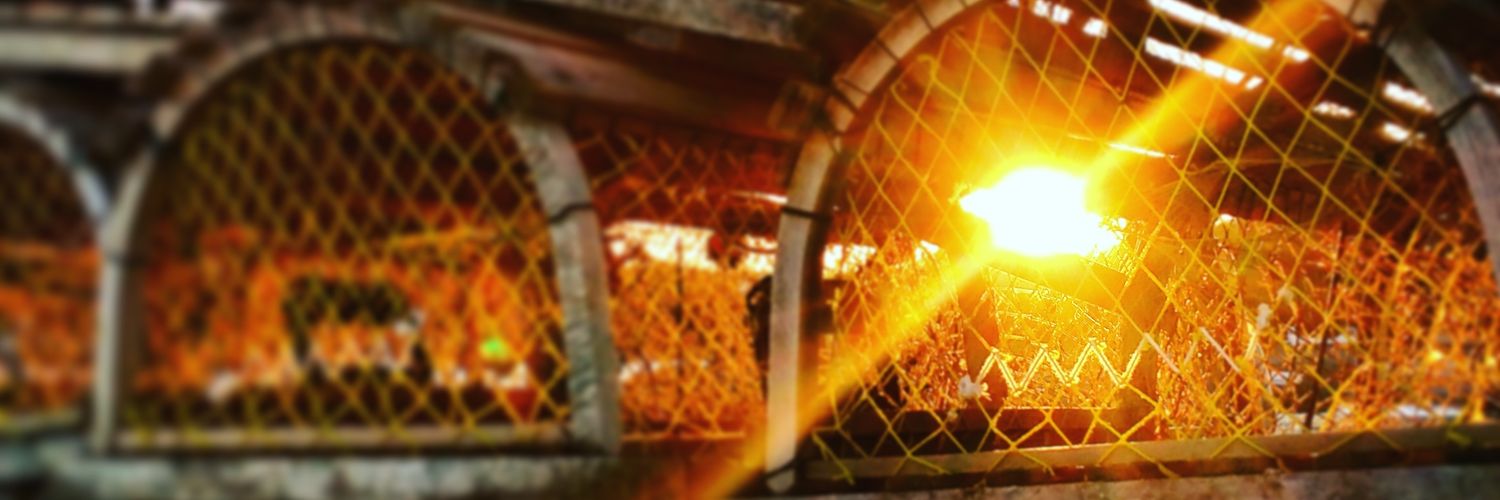 smitty_1993's profile banner image