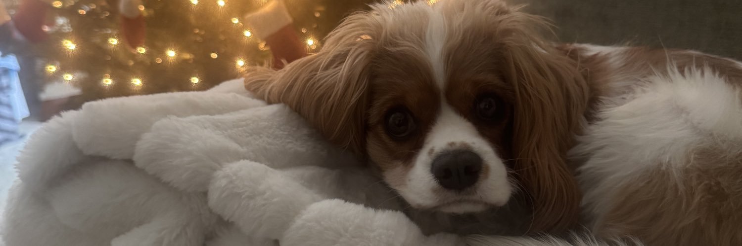 Dave Bisson 🔜 VO Atlanta! banner