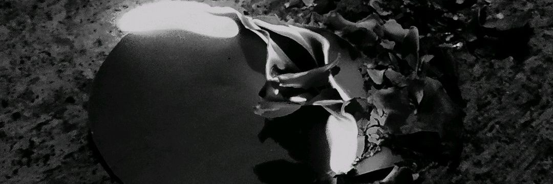 Prastyaddict's profile banner image
