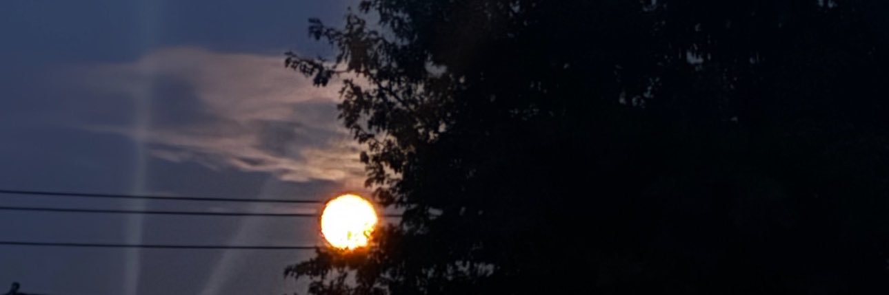 ninjamomisme's profile banner image