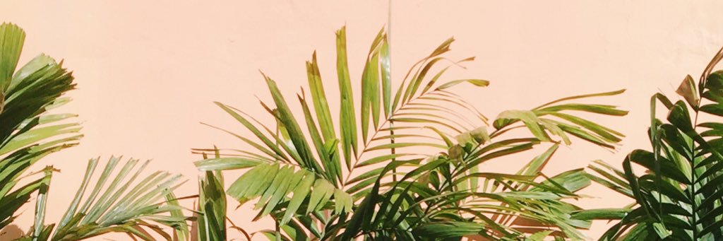 cathy's banner