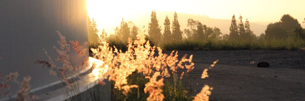 85pivey's profile banner image