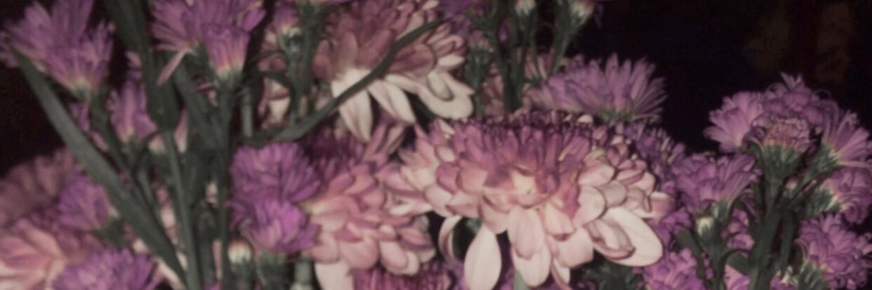 tesolasido's profile banner image