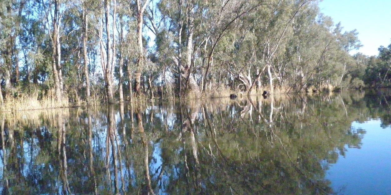 Phillip Lodge banner