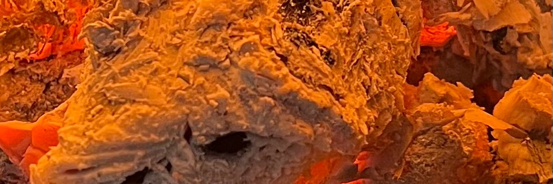 SandrineVDP's profile banner image