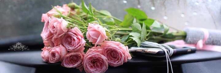 reham190's profile banner image