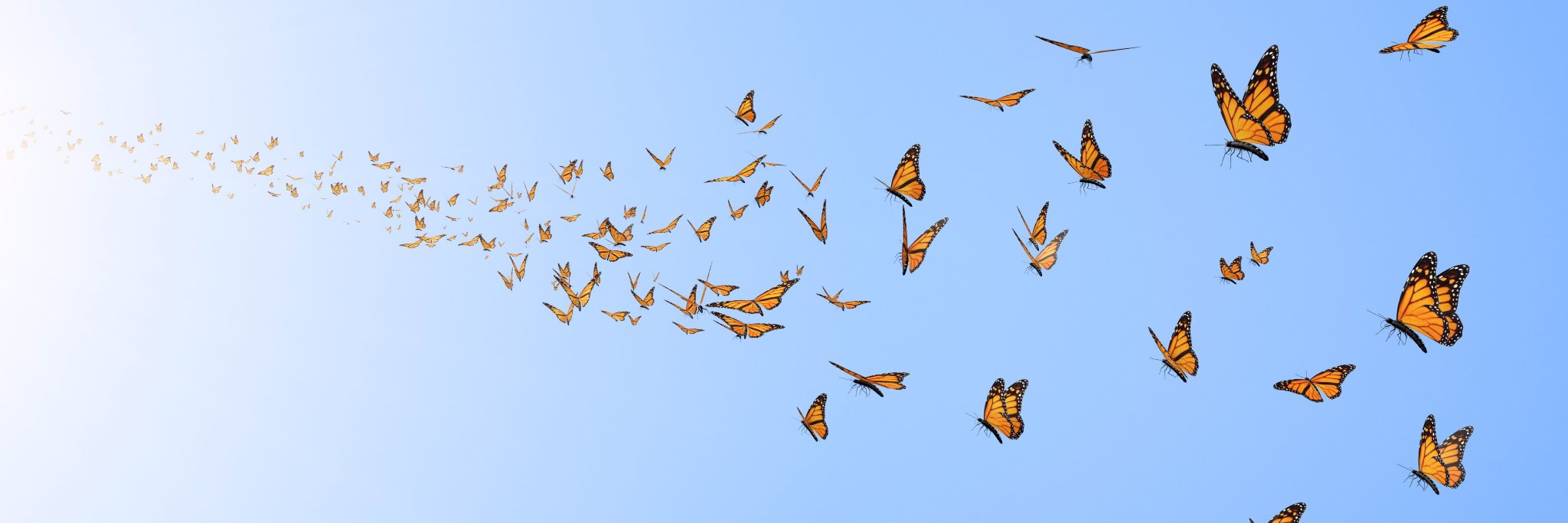 @lobid@openbiblio.social banner