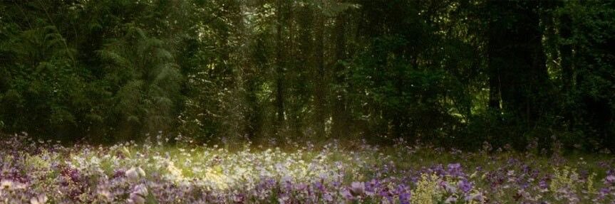 mariajrodd's profile banner image
