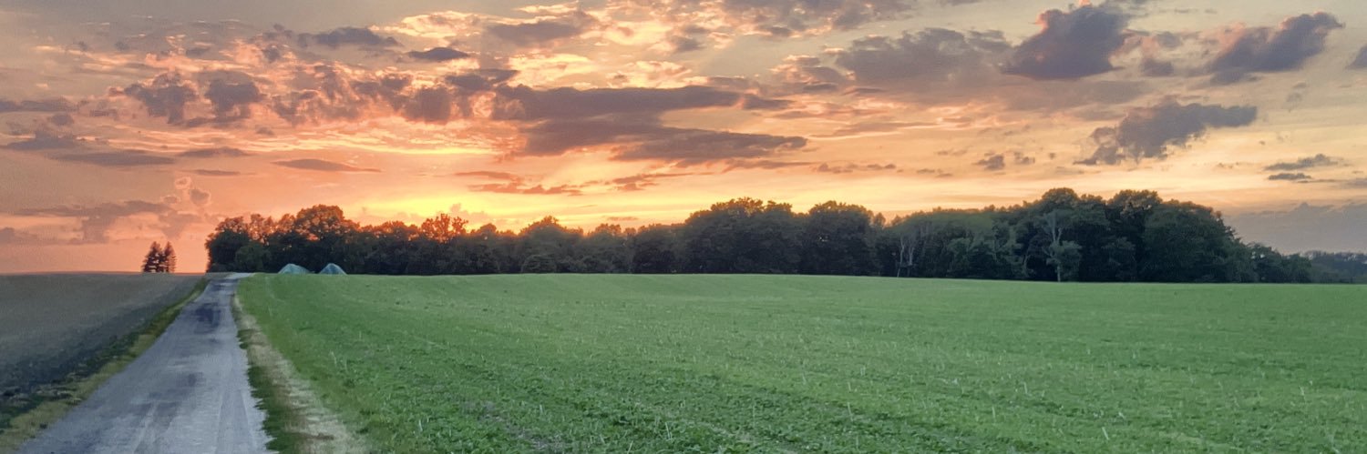 AJulitschka's profile banner image