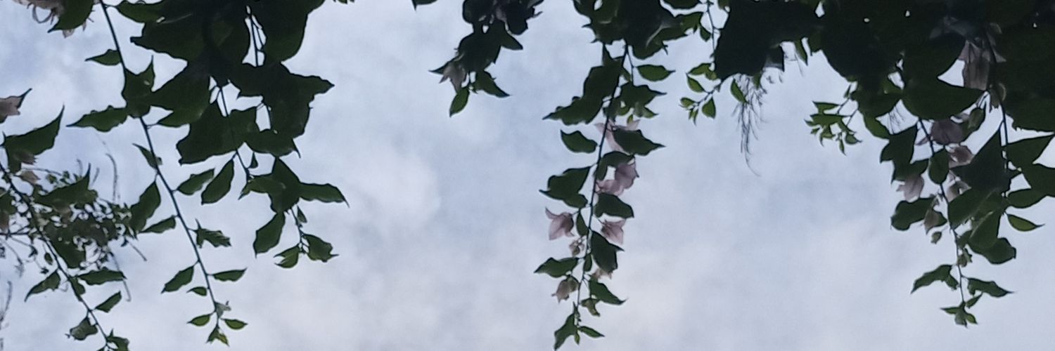 rekasugi's profile banner image