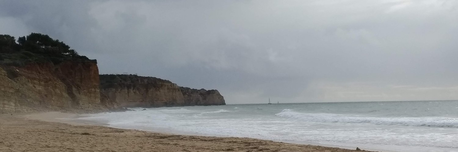 Joaquim Rocha 🇪🇺 banner