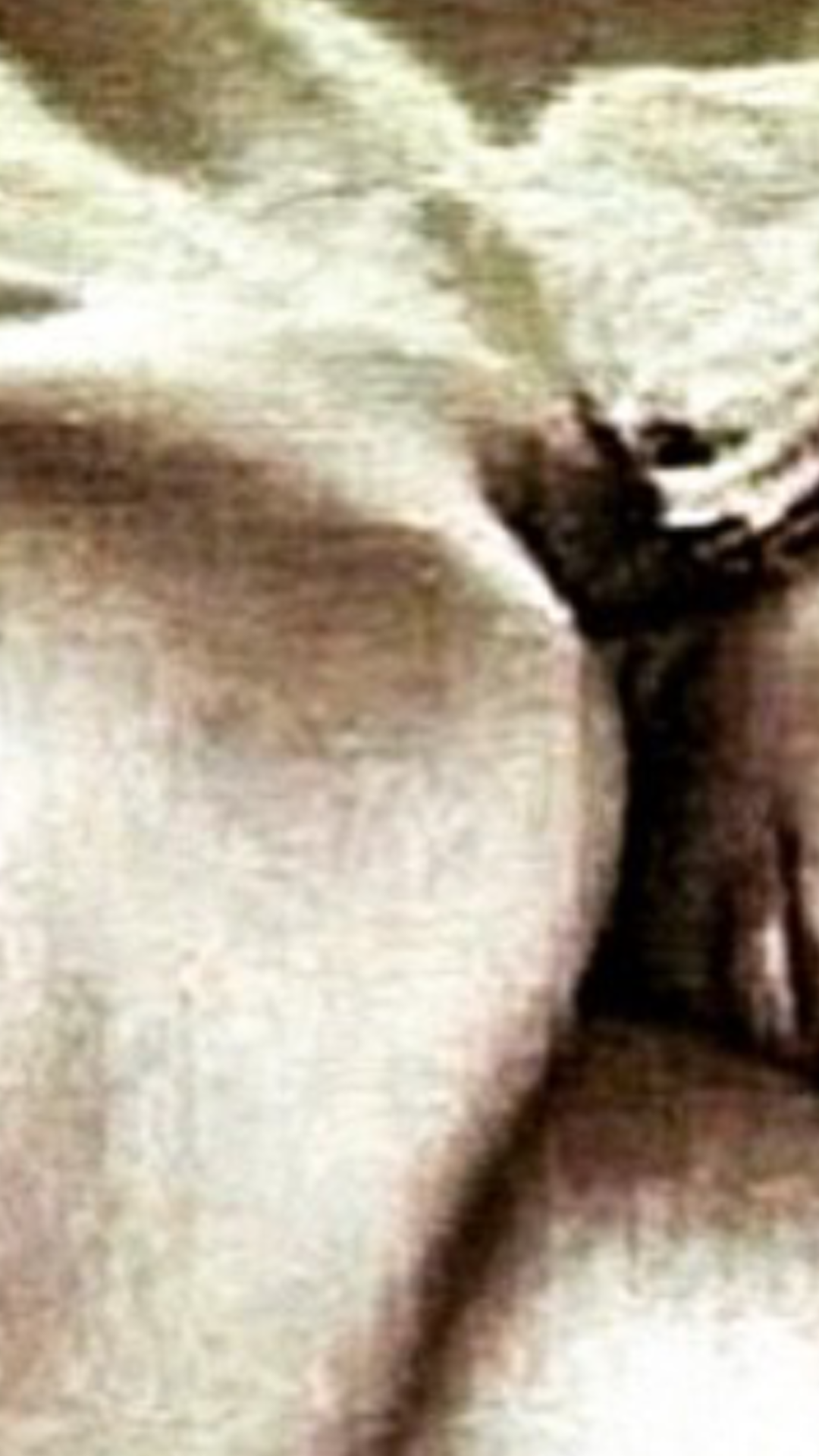 iamdesore's profile banner image