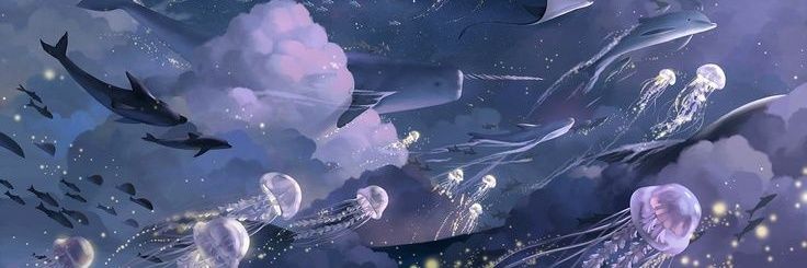 Singkitten's profile banner image