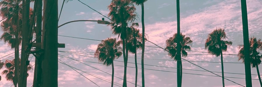 taylor_deneen's profile banner image